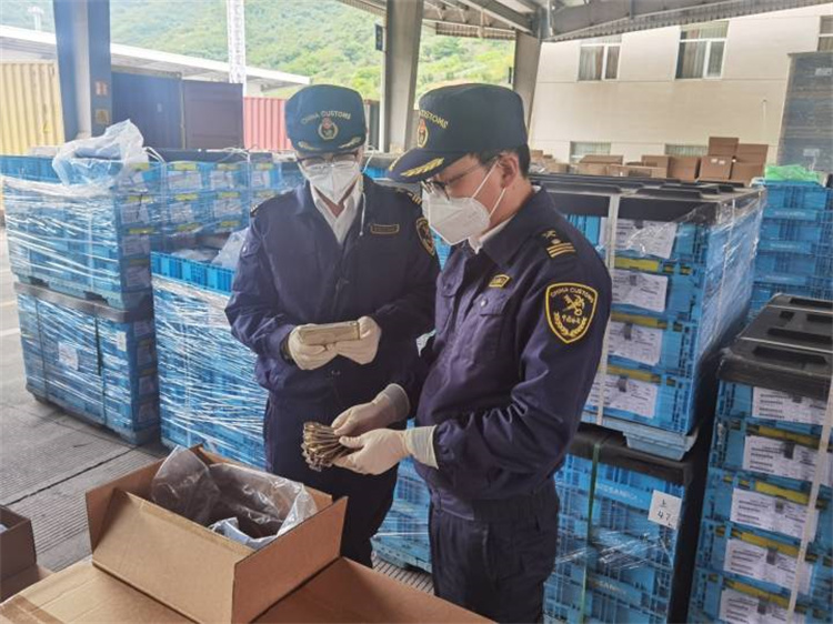 Ningkatake perdagangan manca kanggo njamin stabilitas lan nambah kualitas Ningbo Customs ditanggepi 20 