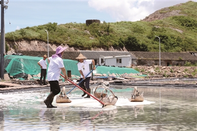 Sing pertama ing provinsi! Xiangshan Gaotang Island town sea salt drying institute non genetic bearing dibuka