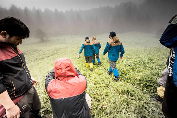 Apa SURVIVA Wilderness Survival?