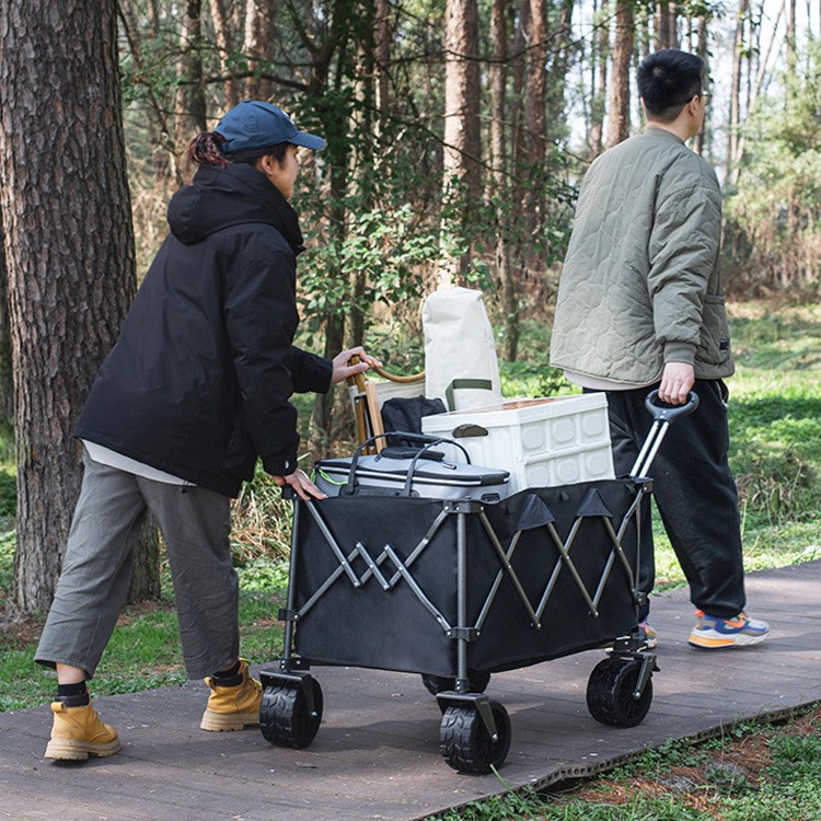 Cart Wagon Heavy Duty